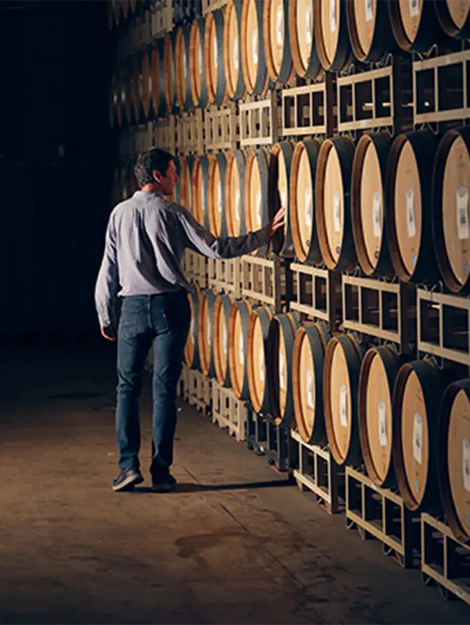 Man walking through a cellar during the Rodney Strong Tour & Tasting